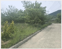  2025Ÿ��100355 ��� ���ֽ� ǳ���� ��ö�� 126-4      ����(������)���