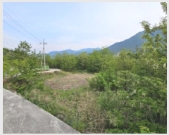  2025Ÿ��100355 ��� ���ֽ� ǳ���� ��ö�� 126-4      ����(������)���