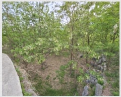  2025Ÿ��100355 ��� ���ֽ� ǳ���� ��ö�� 126-4      ����(������)���