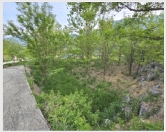  2025Ÿ��100355 ��� ���ֽ� ǳ���� ��ö�� 126-4      ����(������)���