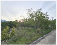  2025Ÿ��100355 ��� ���ֽ� ǳ���� ��ö�� 126-4      ����(������)���