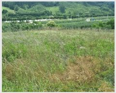  2025Ÿ��100384 ��� ��ȭ�� ���� �ִ縮 119-4      ����(��1)���