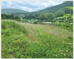  2025Ÿ��100384 ��� ��ȭ�� ���� �ִ縮 119-4      ����(��1)���