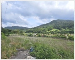  2025Ÿ��100384 ��� ��ȭ�� ���� �ִ縮 119-4      ����(��1)���