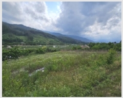  2025Ÿ��100384 ��� ��ȭ�� ���� �ִ縮 119-4      ����(��1)���