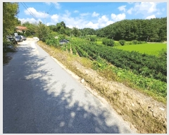  2025Ÿ��100489 ��� ���ֽ� �ܻ�� ��õ�� 196-2      ����(��)���