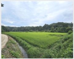  2025Ÿ��100489 ��� ���ֽ� �ܻ�� ��õ�� 196-2      ����(��)���