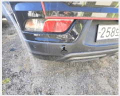  2025Ÿ��100531 �ȵ��� ����14�� 65, �븲������ �ǿ������� ����     �������