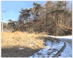  2025Ÿ��10020 ��� ���ֽ� ������ ���̸� 346      ����(��)���