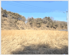  2025Ÿ��10020 ��� ���ֽ� ������ ���̸� 346      ����(��)���