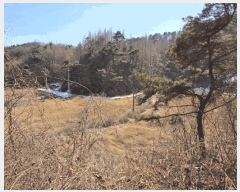  2025Ÿ��10020 ��� ���ֽ� ������ ���̸� 346      ����(��)���