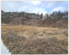  2025Ÿ��10020 ��� ���ֽ� ������ ���̸� 346      ����(��)���