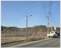  2025Ÿ��10198 ��� �ȵ��� ǳ���� �Ű 96      ����(��)���