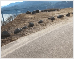  2025Ÿ��10228 ��� ���ֽ� ������ ������ ��90      ����(�Ӿ�)���