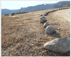  2025Ÿ��10228 ��� ���ֽ� ������ ������ ��90      ����(�Ӿ�)���