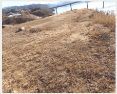  2025Ÿ��10228 ��� ���ֽ� ������ ������ ��90      ����(�Ӿ�)���