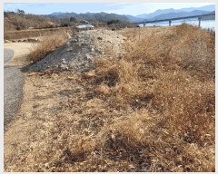  2025Ÿ��10228 ��� ���ֽ� ������ ������ ��90      ����(�Ӿ�)���