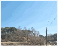  2025Ÿ��10280  �Ӿ߰��