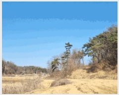  2025Ÿ��10280  �Ӿ߰��