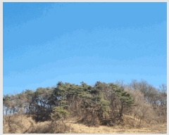  2025Ÿ��10280  �Ӿ߰��