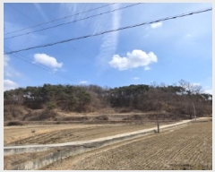  2025Ÿ��10280  �Ӿ߰��