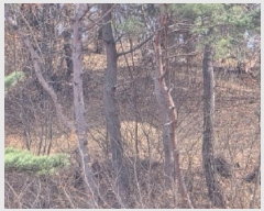  2025Ÿ��10280  �Ӿ߰��