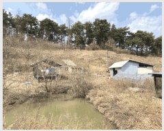  2025Ÿ��10310 ��� ��ȭ�� ������ ���긮 353-1      ����(��1)���