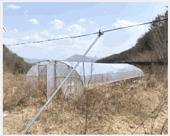  2025Ÿ��10310 ��� ��ȭ�� ������ ���긮 353-1      ����(��1)���