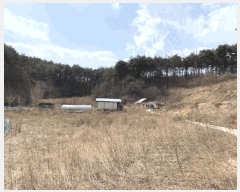  2025Ÿ��10310 ��� ��ȭ�� ������ ���긮 353-1      ����(��1)���