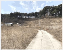  2025Ÿ��10310 ��� ��ȭ�� ������ ���긮 353-1      ����(��1)���