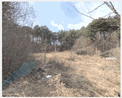  2025Ÿ��10310 ��� ��ȭ�� ������ ���긮 353-1      ����(��1)���