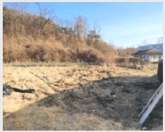  2025Ÿ100008  ȵ ǳõ 縮 1050      (1)