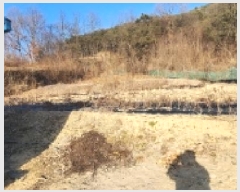  2025Ÿ100008  ȵ ǳõ 縮 1050      (1)