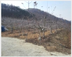  2025Ÿ��100138 ��� �ȵ��� ���ĸ� ��ž�� 737      ����(��1)���