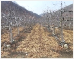  2025Ÿ��100138 ��� �ȵ��� ���ĸ� ��ž�� 737      ����(��1)���