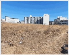  2025Ÿ��100169  ���������