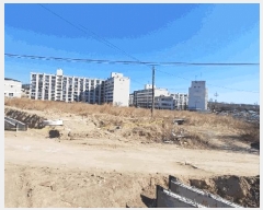  2025Ÿ��100169  ���������