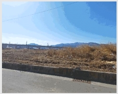  2025Ÿ��100169  ���������