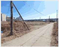  2025Ÿ��100169  ���������