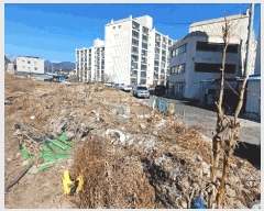  2025Ÿ��100169  ���������