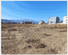  2025Ÿ��100169  ���������