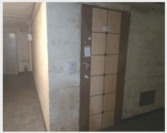  2025Ÿ��100231  ���ǽ��ڰ��