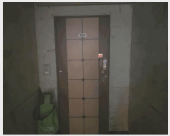  2025Ÿ��100231  ���ǽ��ڰ��