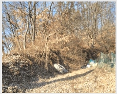  2025Ÿ��100240  �Ӿ߰��