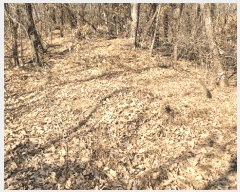  2025Ÿ��100240  �Ӿ߰��