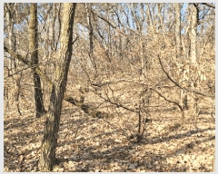  2025Ÿ��100240  �Ӿ߰��