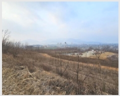  2025Ÿ��10075  �����