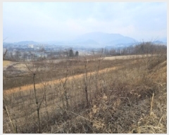  2025Ÿ��10075  �����