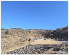  2025Ÿ��10143  �Ӿ߰��