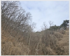  2025Ÿ��10174  �Ӿ߰��